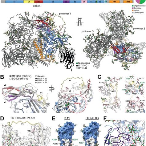 Cryo EM Structure Of SIVmac239 K180S SOSIP Trimer In Complex With The