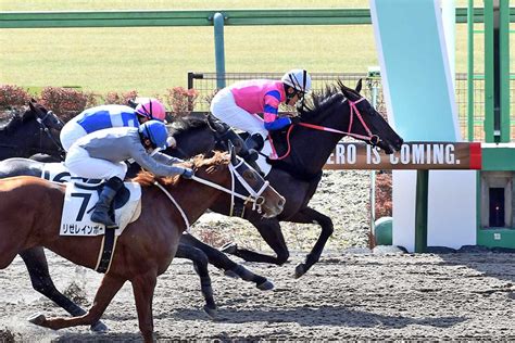 【3歳新馬】シルバーステート産駒のユキノプリンセスが快勝 川島「当歳時から家族で見させてもらっていた馬なのでうれしいです」 競馬ニュース