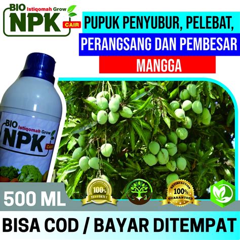 Jual Pupuk Booster Buah Mangga Pelebat Buah Pupuk Npk Istiqomah Grow