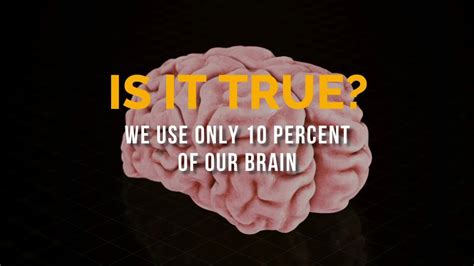 Do We Really Use Only 10 Percent Of Our Brain Youtube