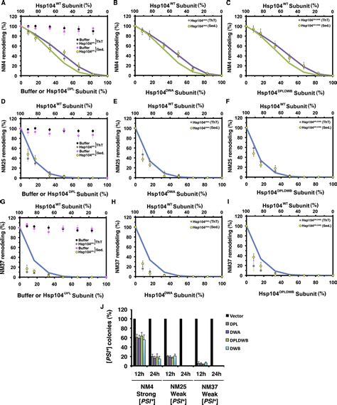 Operational Plasticity Enables Hsp104 To Disaggregate Diverse Amyloid And Nonamyloid Clients Cell