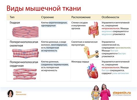 Пин от пользователя Сергей Малютин на доске Медицина | Биология ...