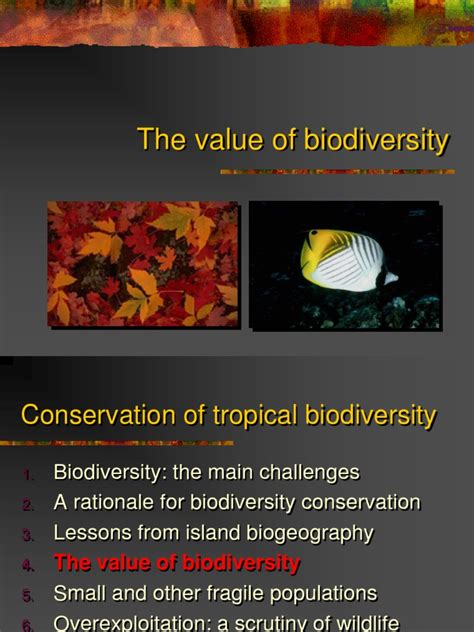 The Value Of Biodiversity Ppt Biodiversity Conservation Biology