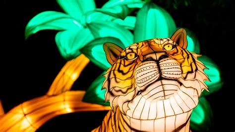 South Bend Tribune: Recent Obituaries and Memorial Tributes 6