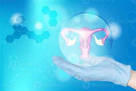 Hands Of A Gynecologist Doctor In Gloves Hold The Uterus Icon In The