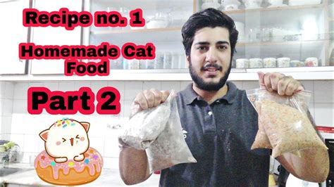 Homemade Cat Food Persian Cat Food Recipe How To Make Cat Food At Home