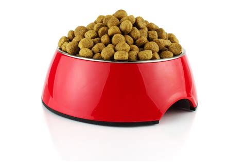 Recipiente De Comida De Metacrilato Cuenco Rojo Para Perro O Gato Con