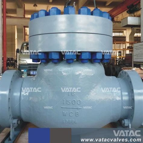 Cs Ss Rf Bw Npt Swing Check Valve China Swing Check Valve And Npt