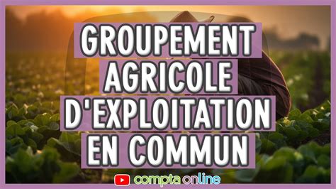 Groupement Agricole D Exploitation En Commun Youtube