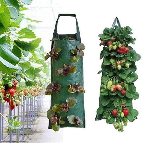 Jardinière Sacs de culture pour plantes fraises tenture murale