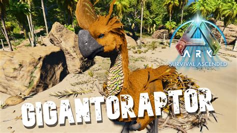 Taming A Gigantoraptor Ark Survival Ascended The Island Youtube