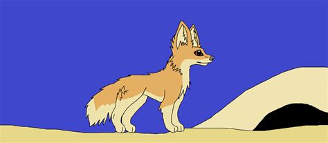 Fennec Fox Doodle By Nyx The Shadow Queen On Deviantart