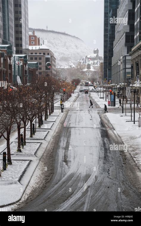 Montreal Canada 21st November 2016 First Snowfall Of The Season