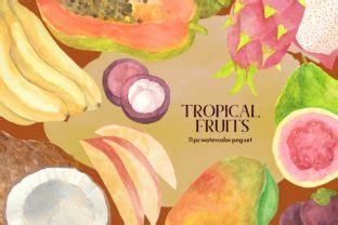 Watercolor Tropical Fruit Clipart Set Graphic By Roselocket Creative