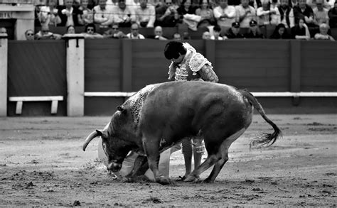 Galer A Revive Con Las Mejores Im Genes En Blanco Y Negro La Corrida