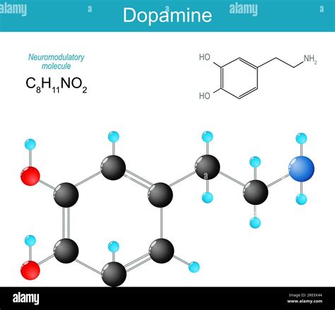 Dopamine Molecule Molecular Chemical Structural Formula And Model Of