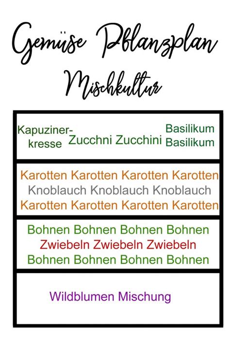 Gemüsegarten Anbauplan So gelingt dir Gemüse anbauen Haus und Beet