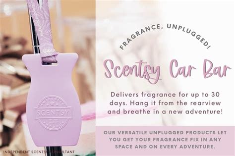 Pin By Michelle Schwarz On Scentsy In Scentsy Consultant Ideas