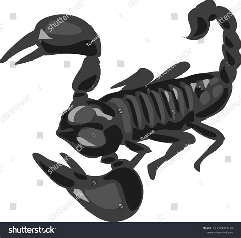 This Black Scorpion Vector Illustration Stock Vector Royalty Free