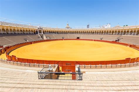 Stade Darène De Corrida Télécharger Des Photos Premium