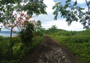 Taal Volcano Day Hike Guide Budget Itinerary