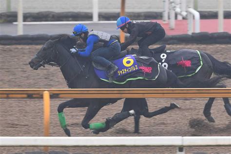 【天皇賞・春】1週前追い ジャスティンパレス1馬身先着 杉山晴師「引き締まった感」 サンスポzbat