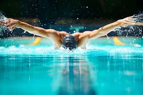 Swimming Technique of the Butterfly Stroke