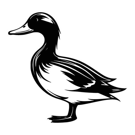 Mallard Silhouette Mallard Mascot Logo Mallard Black And White Animal