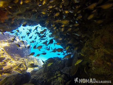 Scuba Diving In Nha Trang - Is It Worth It? | NOMADasaurus