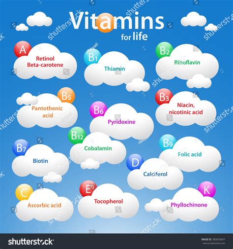 16,802 Vitamins names Images, Stock Photos & Vectors | Shutterstock
