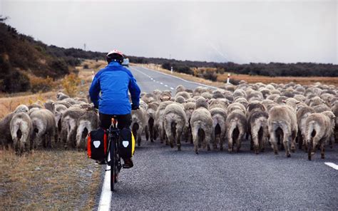 Cycling in New Zealand | Switchback Travel