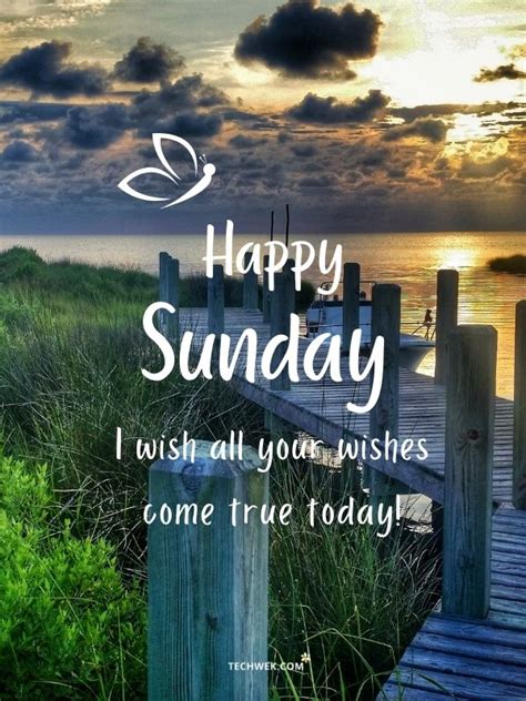 49 Wonderful Happy Sunday Images S And Messages