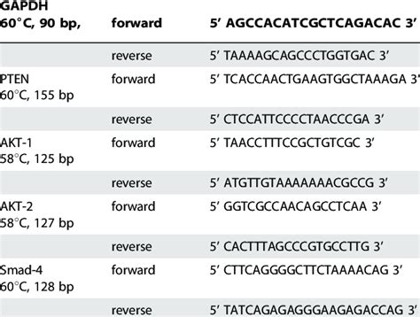 Rt Pcr Primers And Annealing Temperature Download Table