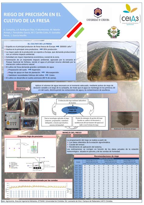 PDF RIEGO DE PRECISIÓN EN EL CULTIVO DE LA FRESA España es el