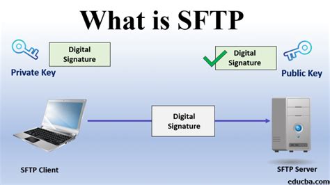 What Is Sftp Comprehensive Guide To Sftp With Its Advantages Hot Sex