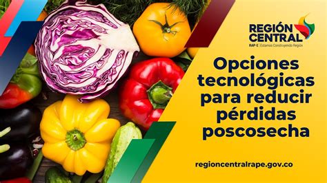 La Rap E Y Agrosavia Le Apuestan A Las Opciones Tecnol Gicas Para