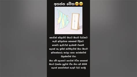 ඔයාට ඔයාව පේන විදිහට වඩා ඔයා වෙනස් කෙනෙක් වෙන්න පුලුවන්foryou Motivation Fypシ Srilanka Love