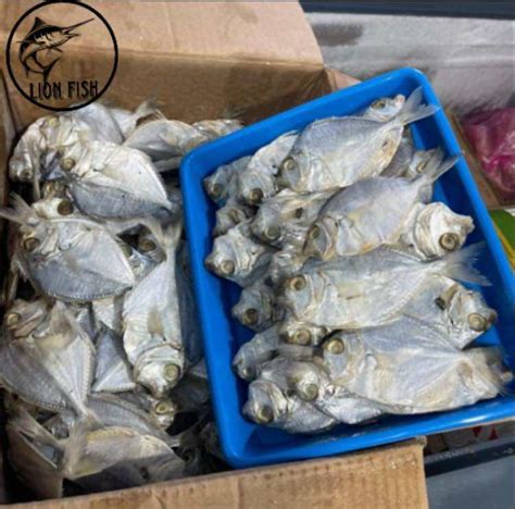 Ikan Asin Petek Besar Kg Lazada Indonesia