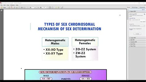 Mechanism Of Sex Determination Biology YouTube