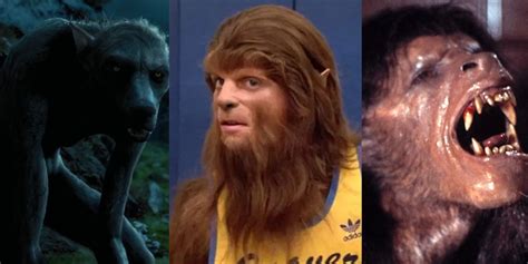 From Ginger Snaps To Harry Potter 10 Best Movie Werewolves Ranked