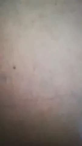 Troione Free Porn Video B XHamster