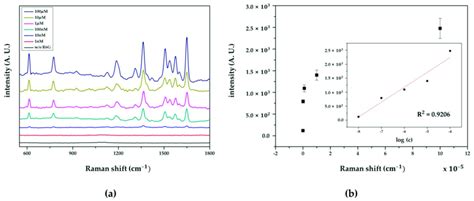 A Sers Spectra And B Raman Intensities Of R6g At Different