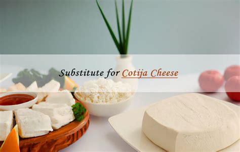 Cheese Lovers Rejoice: 12 Cotija Cheese Substitutes to Taste