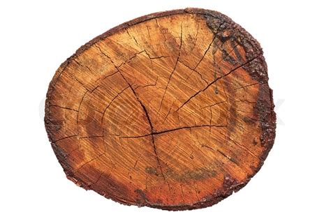 wood section stock image colourbox