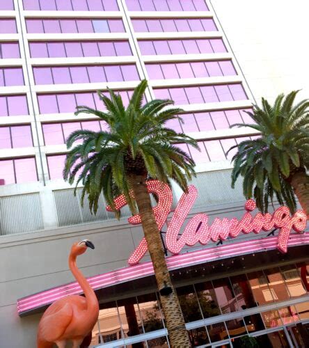 Flamingo Casino Las Vegas, Las Vegas Hotels, Vegas Casino, Golf Event ...