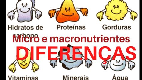 Qual A Diferen A Entre Macro E Micronutrientes