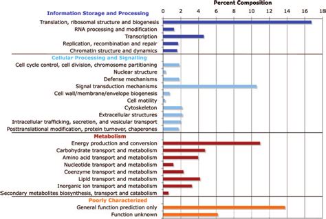 kog analysis depicting  hits   eukaryotic kog  tatusov