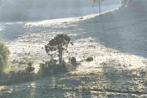 Geada Pinta De Branco Paisagens Na Serra De Sc Em Pleno Dezembro