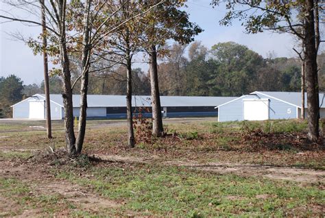 Preparing Poultry Houses for Cold Weather By Andrew Bourne, World