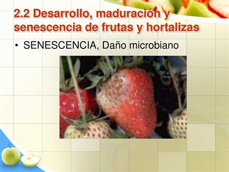 PPT Unidad II Eco fisiología de poscosecha de frutas y hortalizas